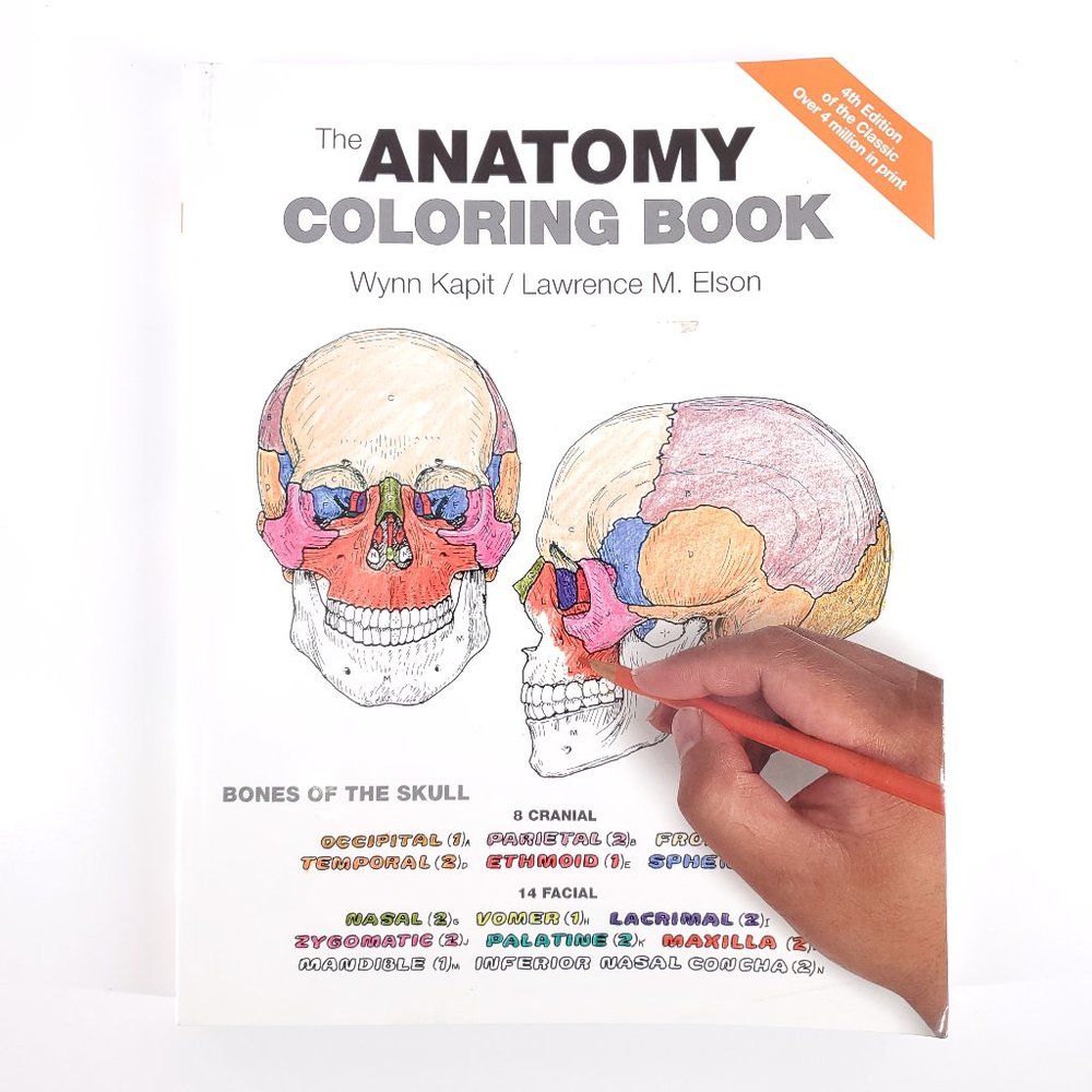The Anatomy Coloring Book by Wynn Kapit, Lawrence M. Elson (2013, Paperback)